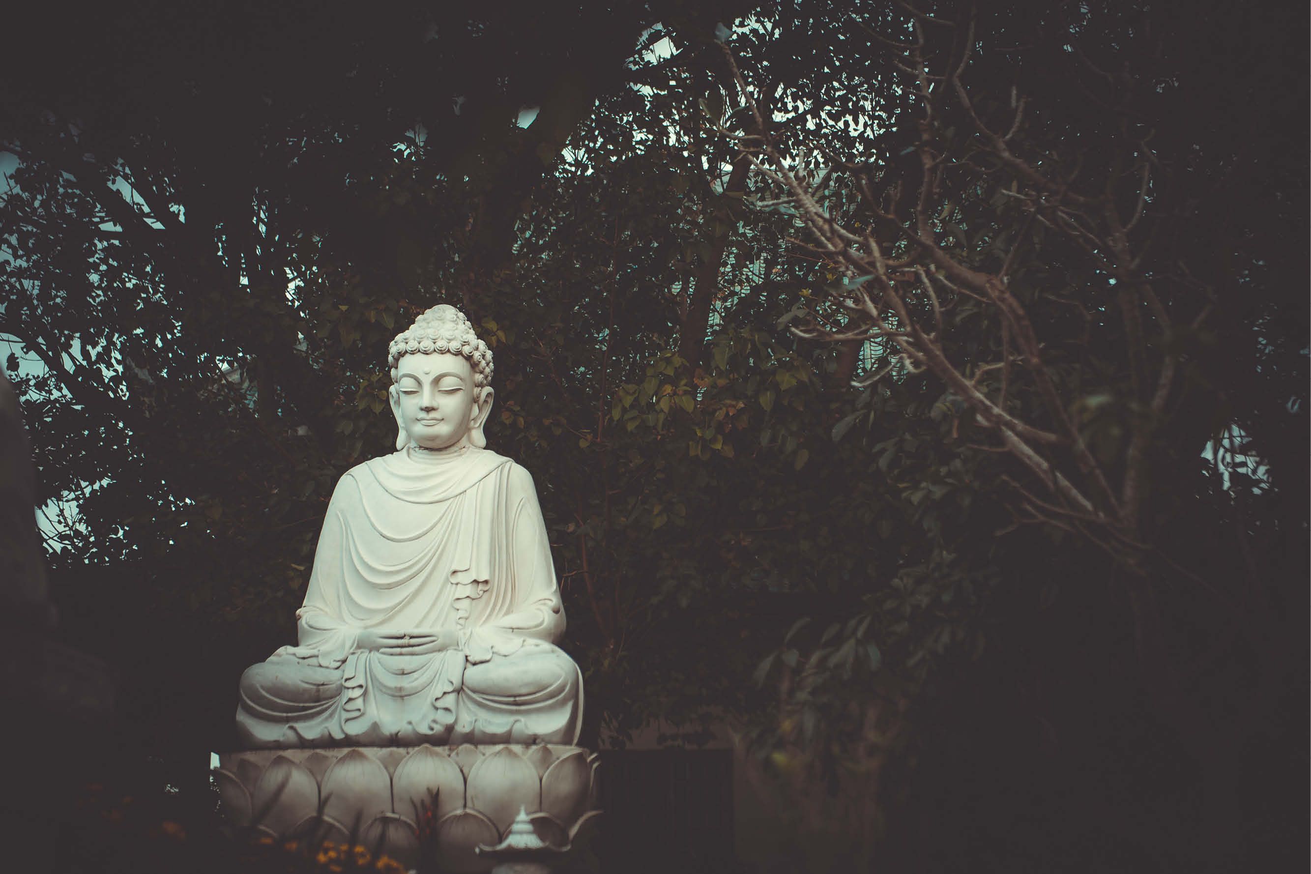 Mindfulness: blijf in je lijf
